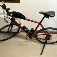 Bicicletta Treck