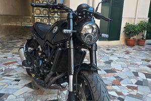 Benelli Leoncino 500