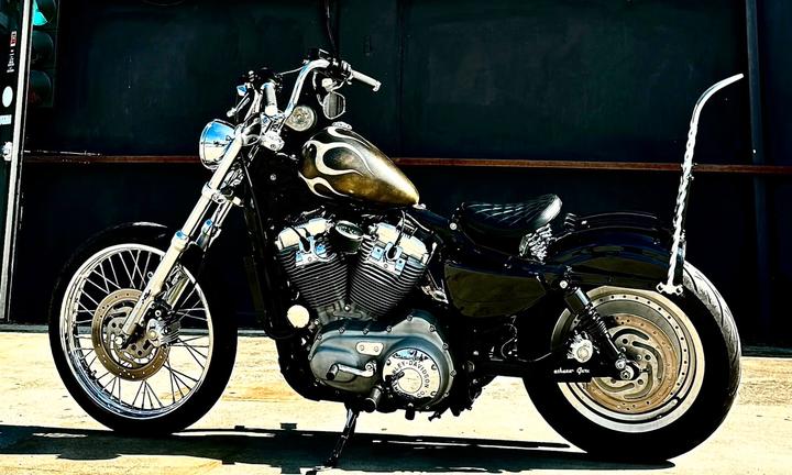 Harley Davidson Sportster 883 XL Custom