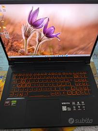 Acer nitro gaming 17.3 pollici