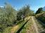 Immagine 19