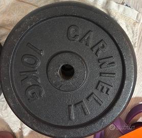 Dischi ghisa 2 da 10 kg