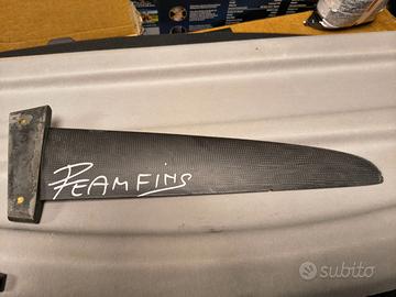 pinna 42 windsurf in carbono