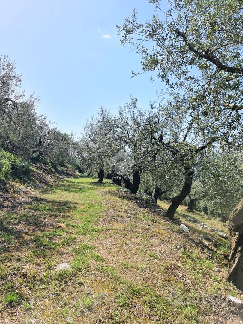 TER. AGRICOLO A SANT'AGATA DE' GOTI - Vista 4