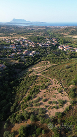 Terreno agricolo San Teodoro