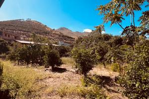 Terreno agricolo con fabbricato catastato