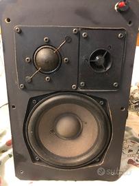 Casse acustiche Visonik