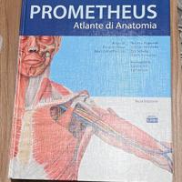 Prometheus Atlante di Anatomia- Terza edizione