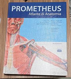 Prometheus Atlante di Anatomia- Terza edizione