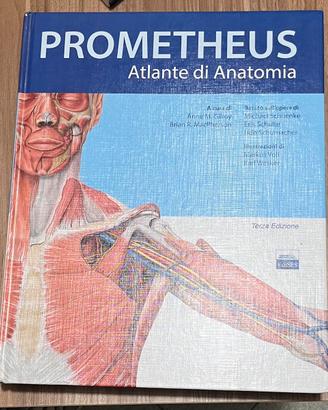 Prometheus Atlante di Anatomia- Terza edizione