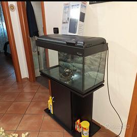 Acquario