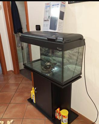 Acquario