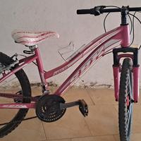 bici mtb 24