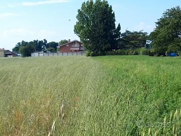 Terreno edificabile