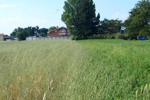 Terreno edificabile