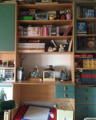 Cameretta doppia completa di libreria - Regalata