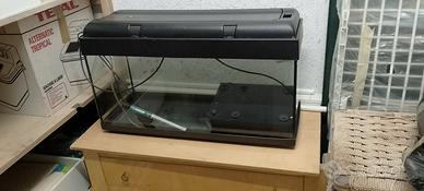 Acquario 120