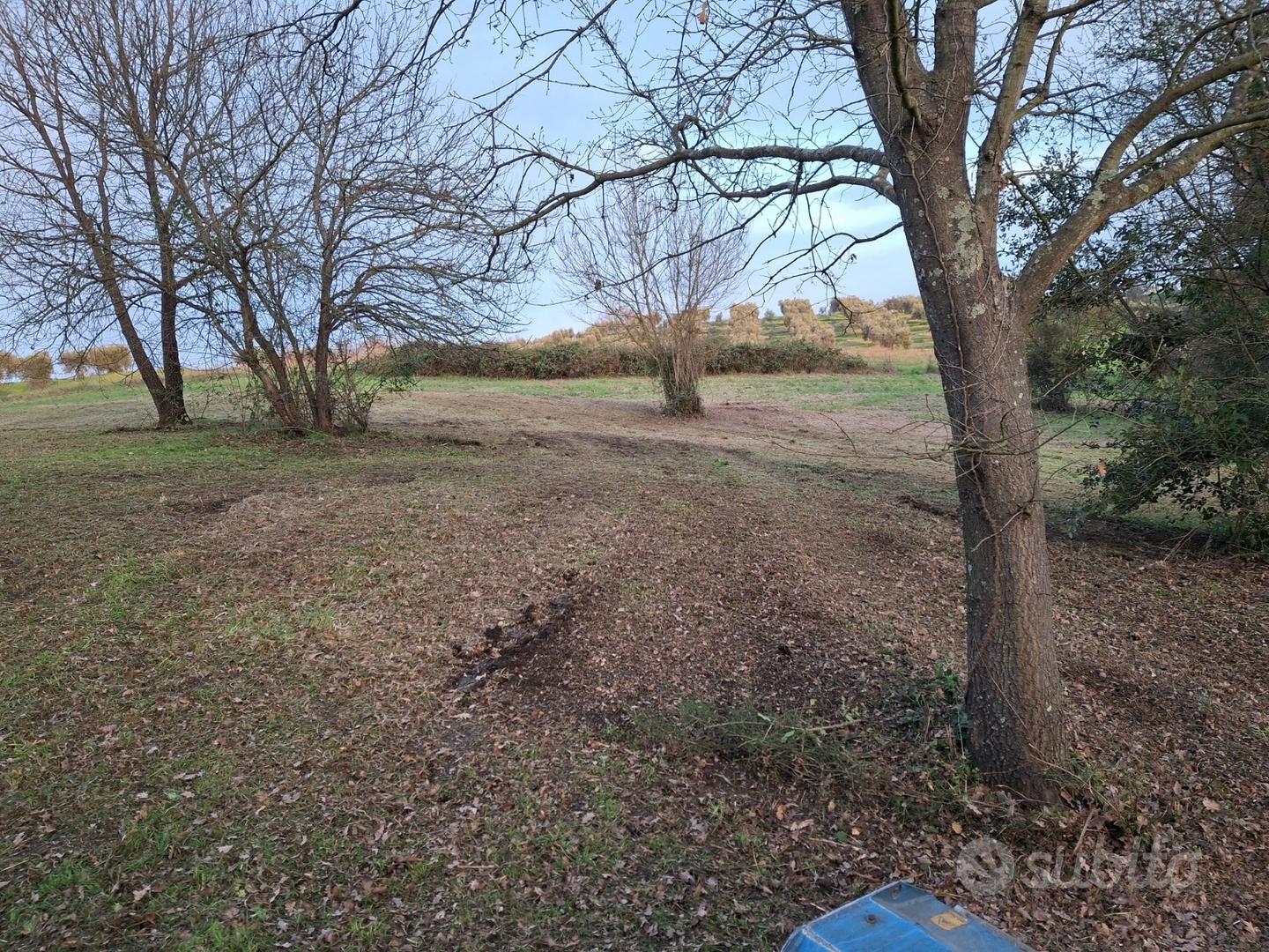 Terreno di 5 ettari anche edificabili - Vista 6