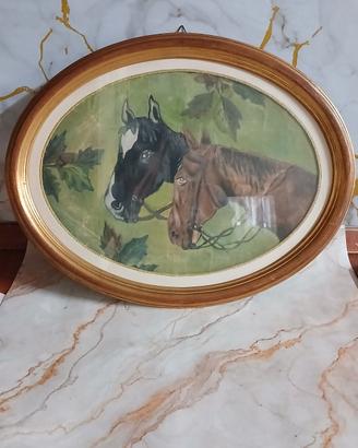 Quadro ovale Cavalli