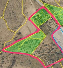 Terreno agricolo Caulonia