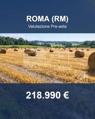 Immobile in asta di 135375 m² a Roma