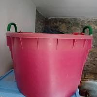 Mastello per vendemmia 