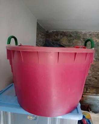 Mastello per vendemmia 