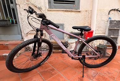 Mountain bike 