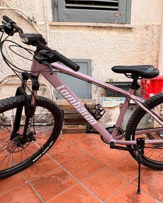 Mountain bike 