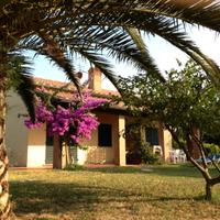 Populonia BARATTI Costa degli Etruschi - D1