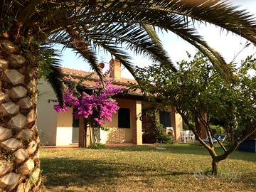 Populonia BARATTI Costa degli Etruschi - D1