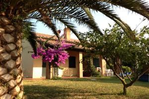 Populonia BARATTI Costa degli Etruschi - D1