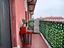 Immagine 14