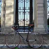 Bici fixed/singlespeed artigianale su base corsa