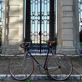 Bici fixed/singlespeed artigianale su base corsa