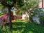 Immagine 25