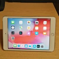 iPad mini 3
