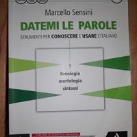 Grammatica fonologia sintassi isbn. 9788824756648
