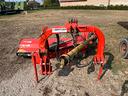 trincia-sarmenti-maschio-giraffa-185