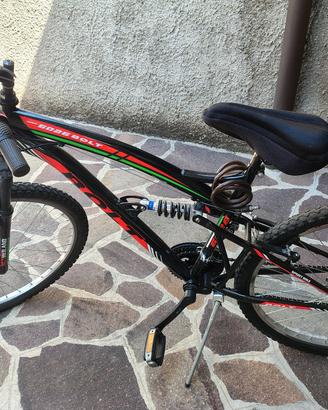 Mountain bike 