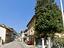 Immagine 22