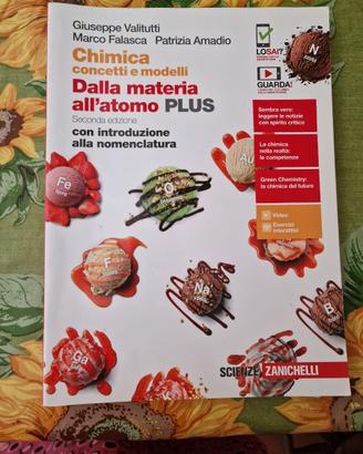 Chimica concetti e modelli - Dalla materia all'ato