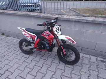 lem 50 felix