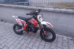lem 50 felix