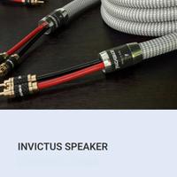 Ricable Invictus - 2.34m Custom