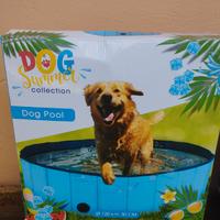 piscina per cani