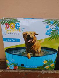 piscina per cani