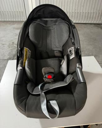 Ovetto inglesina darwin infant