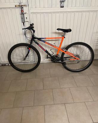 Bicicletta MTB bianchi ragno