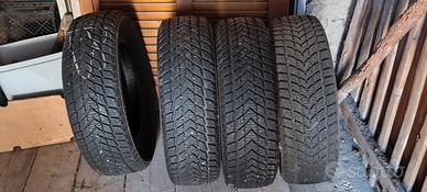 gomme da neve